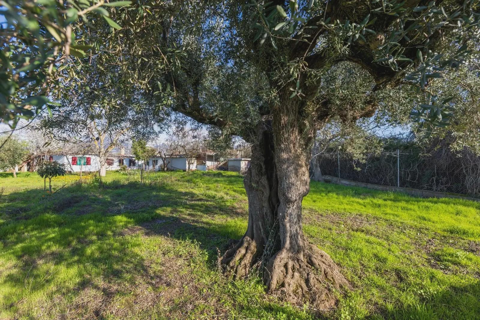 Finca/Herregård til salgs i Otura - € 160 000 (Ref: 9837457)