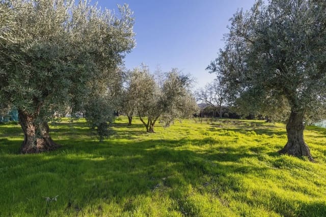 Finca/Herregård til salgs i Otura - € 160 000 (Ref: 9837457)