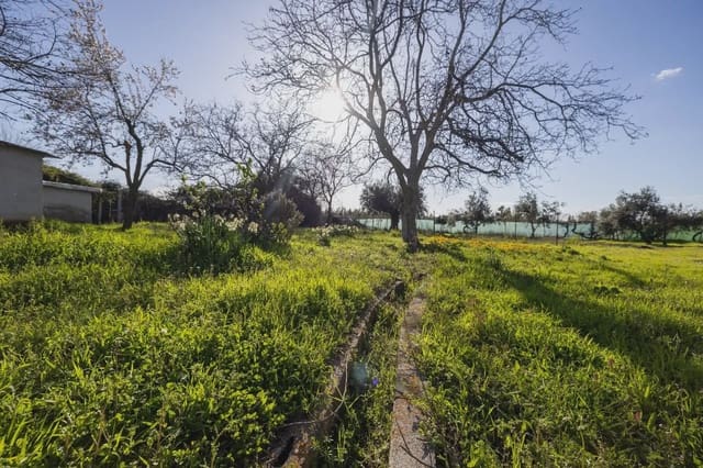 Finca/Herregård til salgs i Otura - € 160 000 (Ref: 9837457)