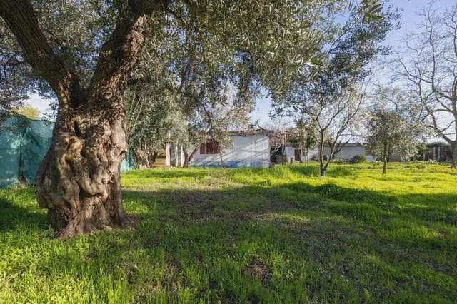 Finca/Herregård til salgs i Otura - € 160 000 (Ref: 9837457)
