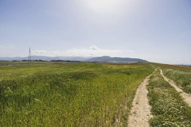 Ubebygd land til salgs i Otura - € 107 000 (Ref: 9837464)