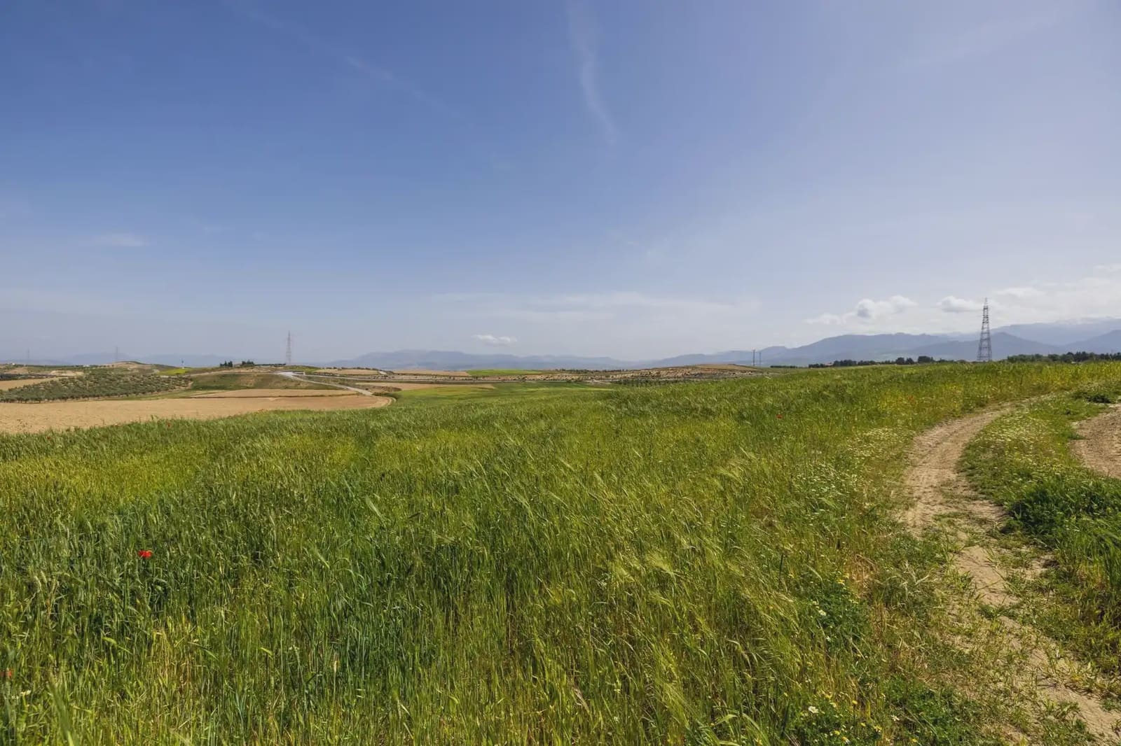 Undeveloped Land for sale in Otura - € 117,000 (Ref: 9837464)