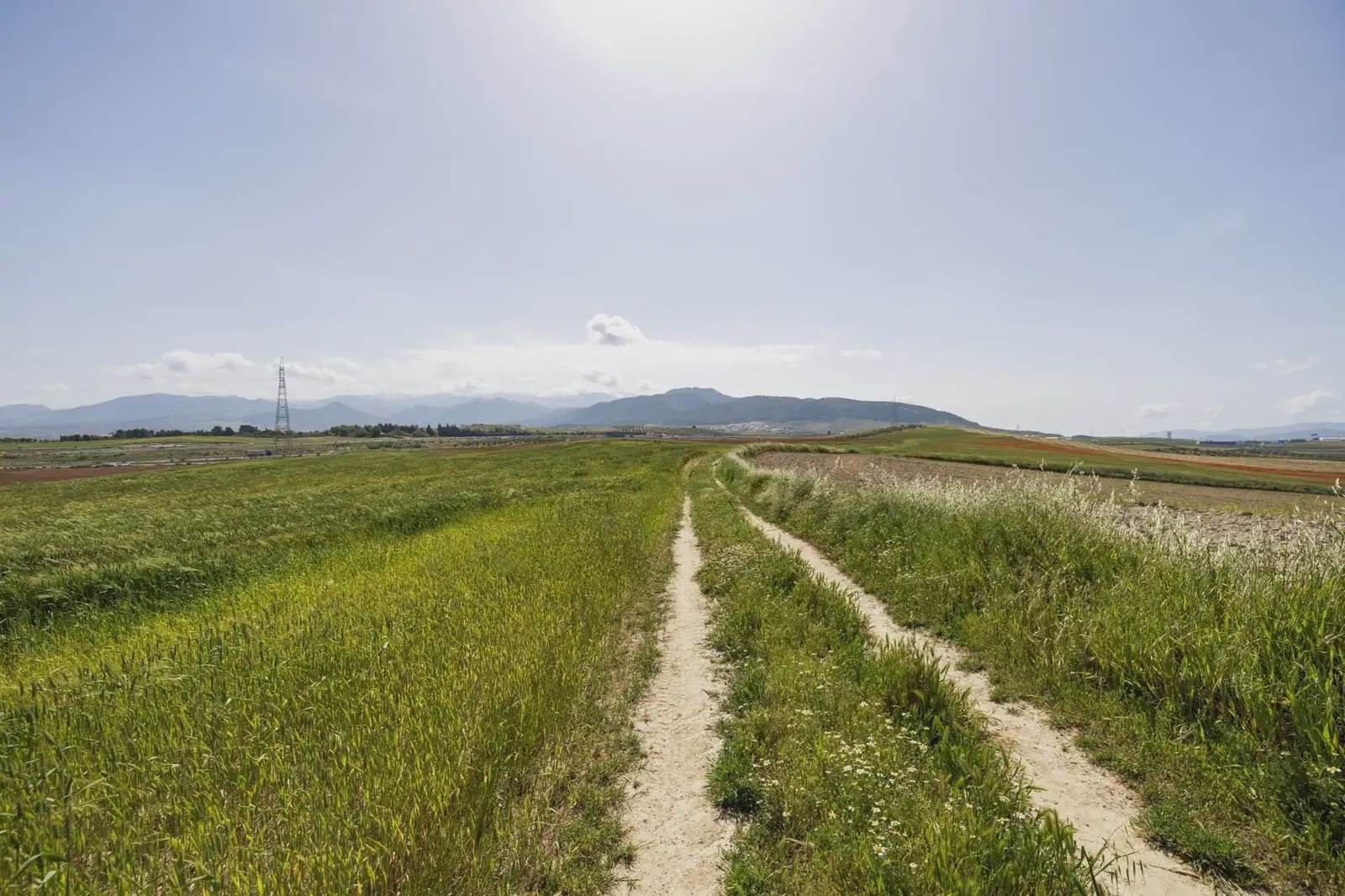 Undeveloped Land for sale in Otura - € 117,000 (Ref: 9837464)