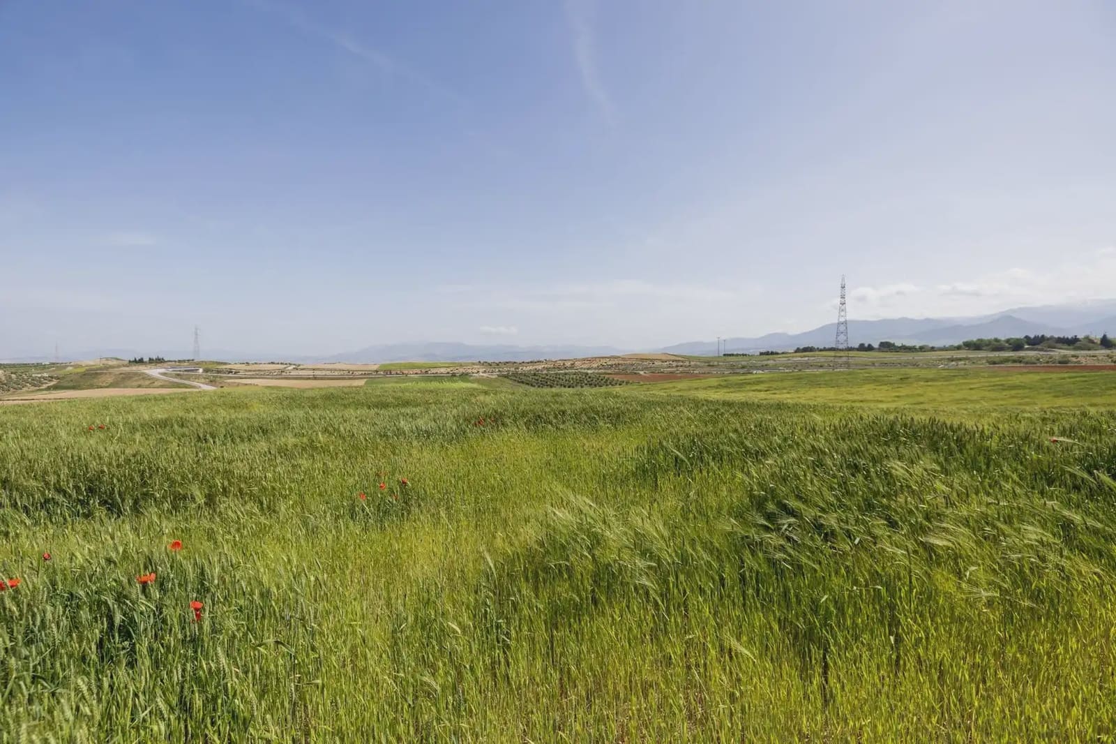 Undeveloped Land for sale in Otura - € 117,000 (Ref: 9837464)
