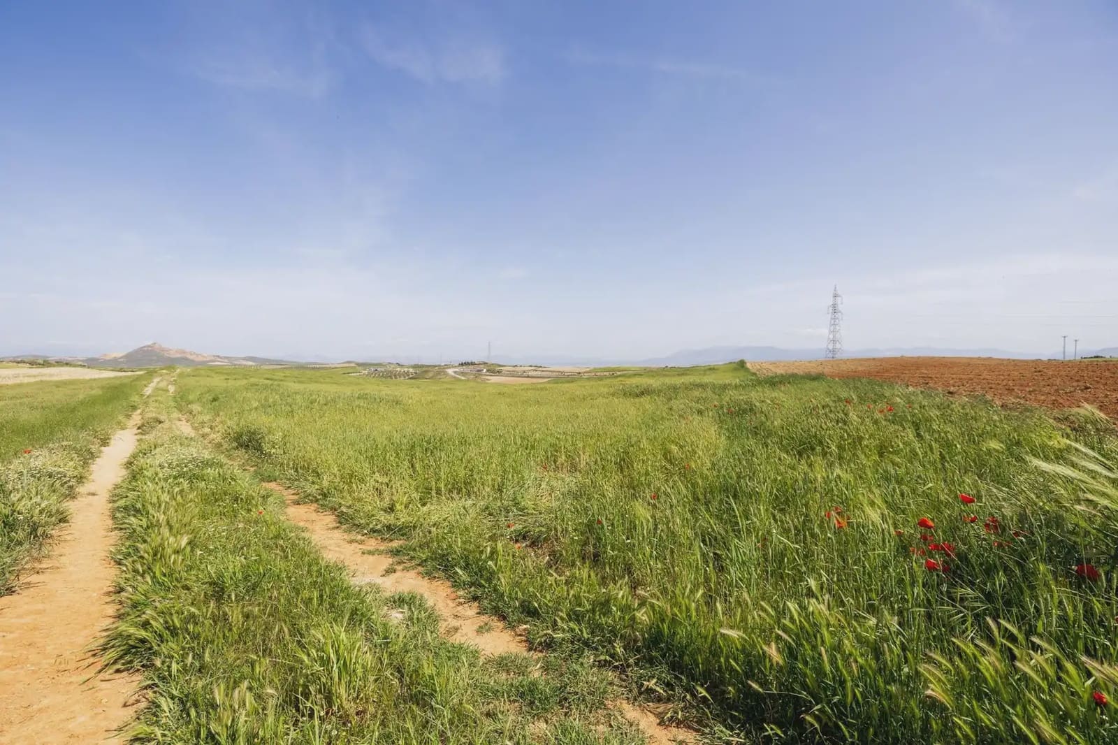 Undeveloped Land for sale in Otura - € 117,000 (Ref: 9837464)