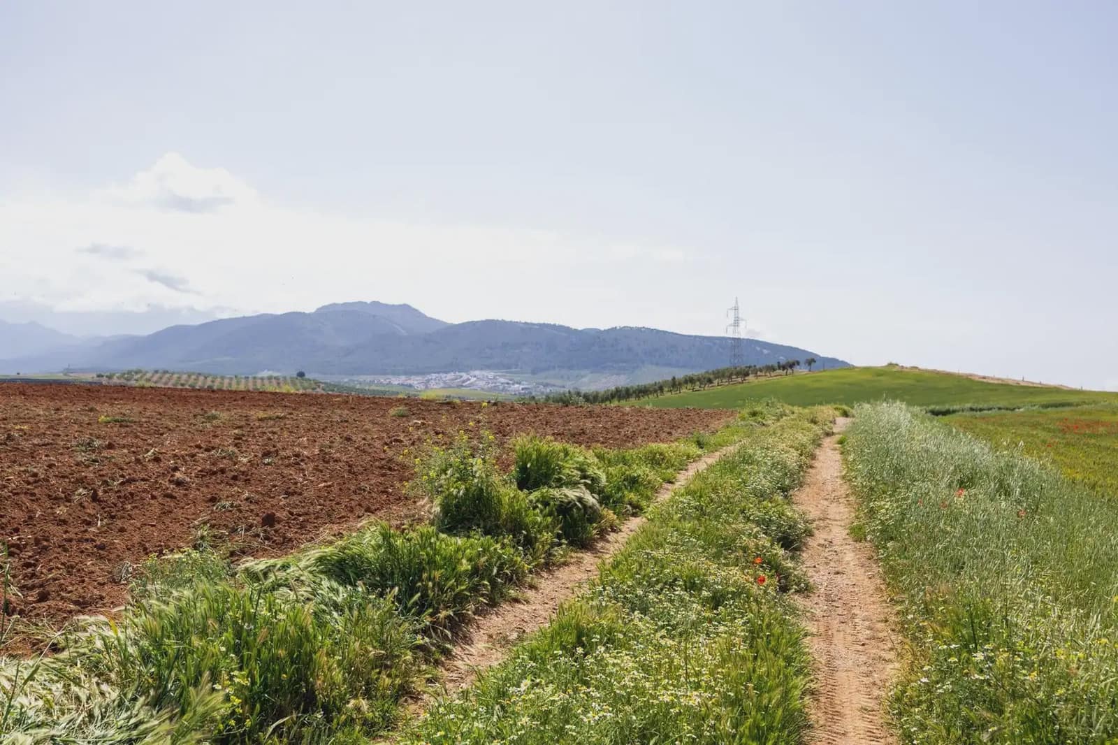 Undeveloped Land for sale in Otura - € 117,000 (Ref: 9837464)