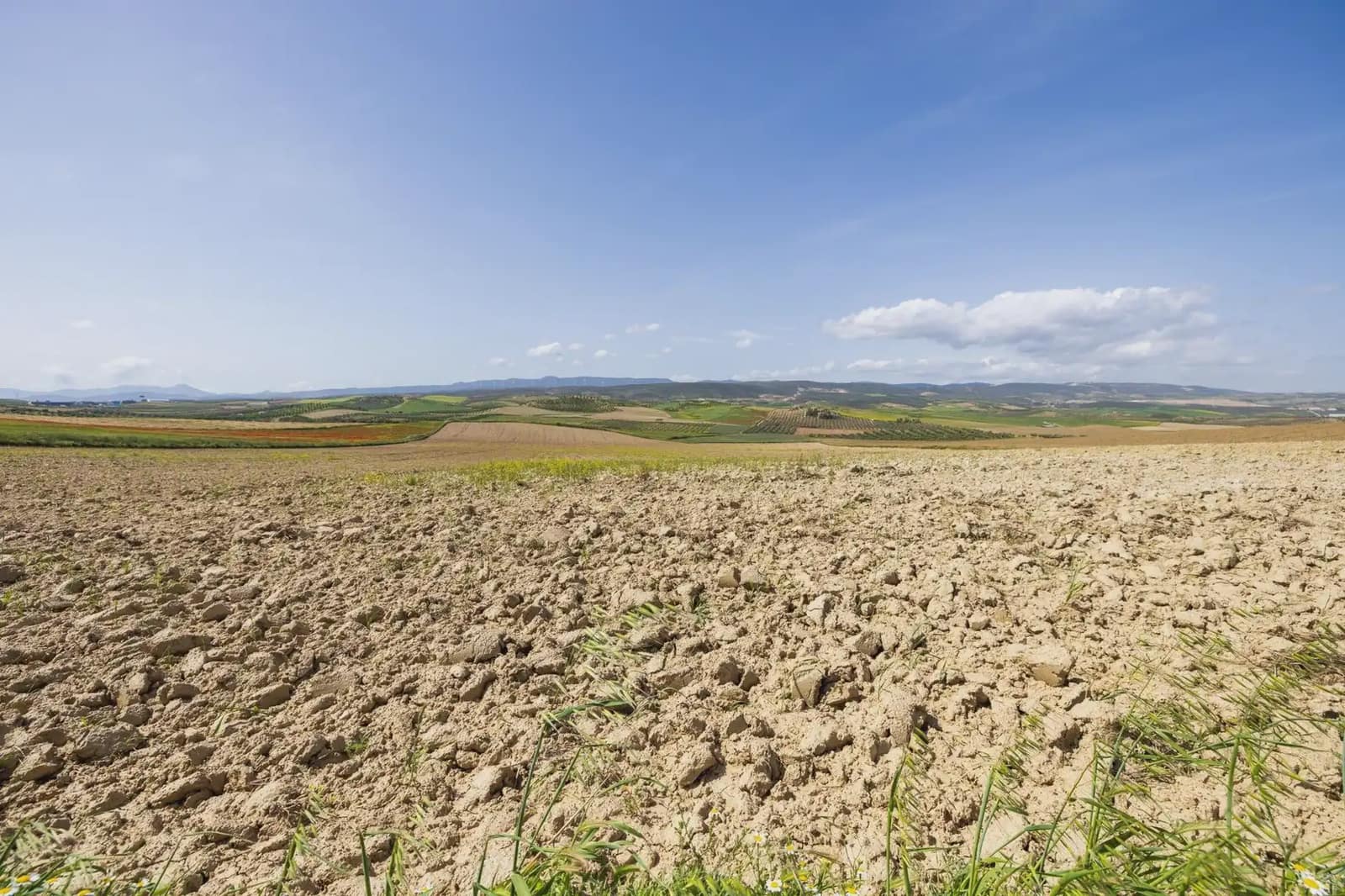 Undeveloped Land for sale in Otura - € 117,000 (Ref: 9837464)