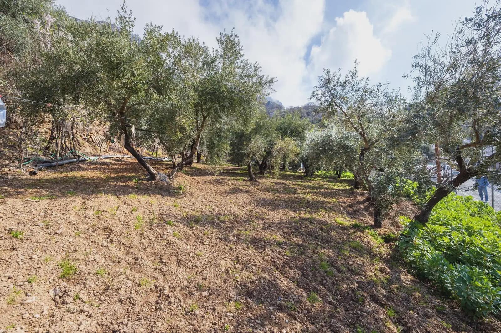 Finca/Country House for sale in Guejar Sierra with pool garage - € 430,000 (Ref: 9837520)
