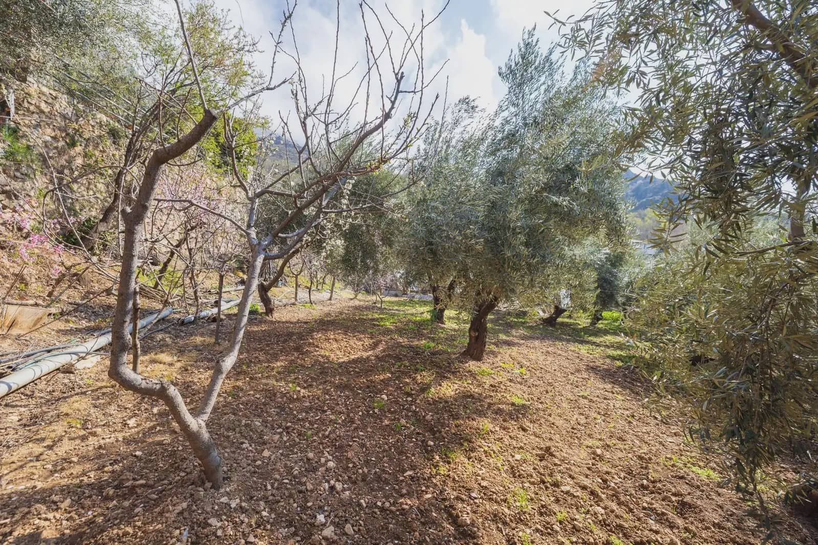 Finca/Country House for sale in Guejar Sierra with pool garage - € 430,000 (Ref: 9837520)