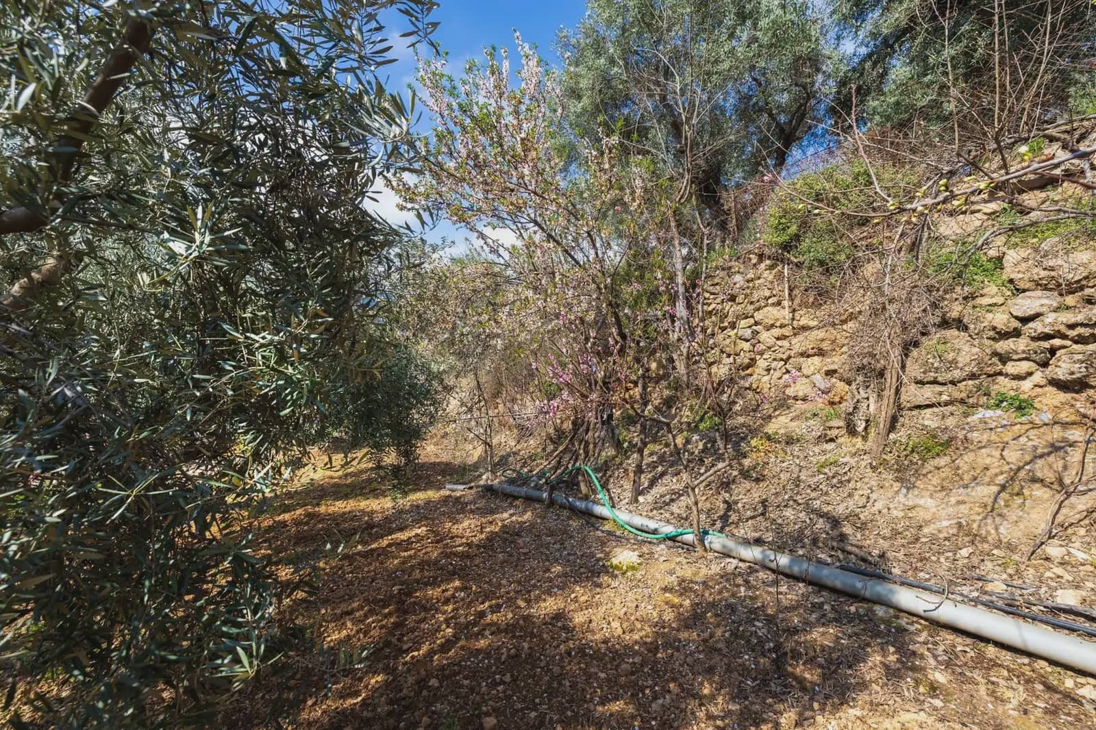 Finca/Country House for sale in Guejar Sierra with pool garage - € 430,000 (Ref: 9837520)