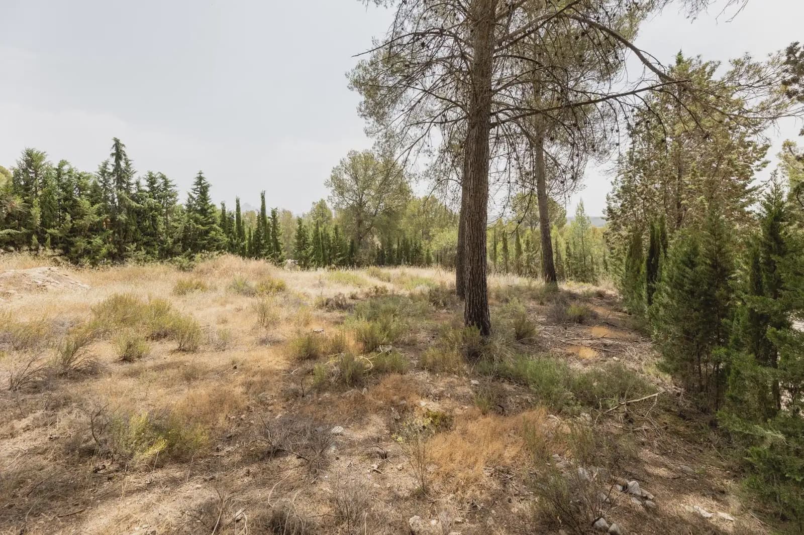Byggegrund til salg i Albolote - € 300.000 (Ref: 9837546)