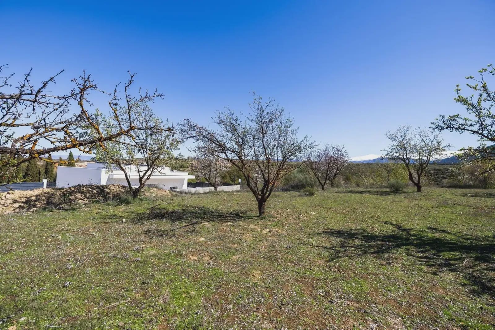 Building Plot for sale in Dilar - € 57,000 (Ref: 9837551)