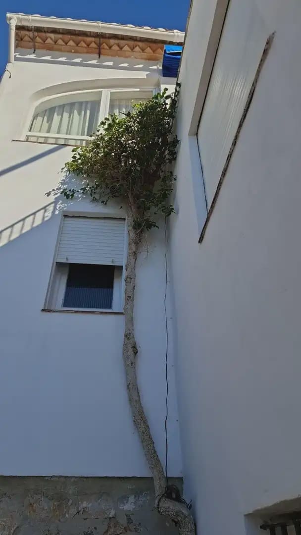 Villa for sale in Salobrena with garage - € 440,000 (Ref: 9837566)