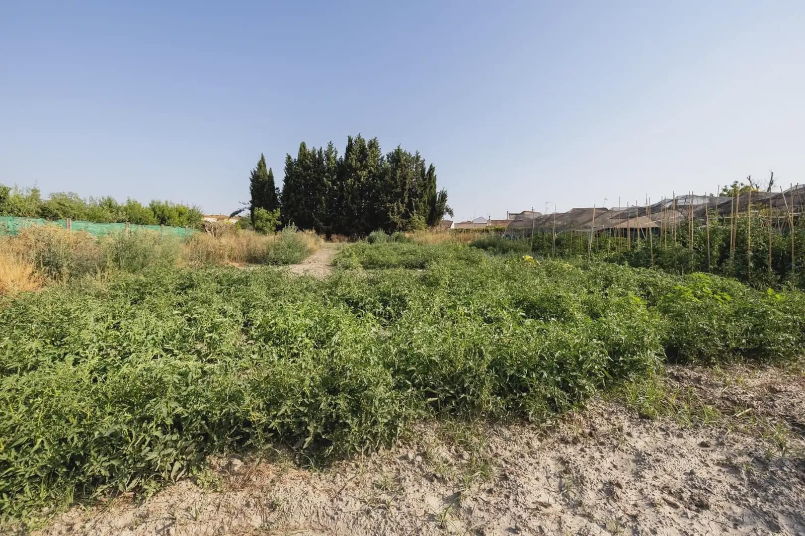 Finca/Landgut zu verkaufen in Chauchina mit Pool - 225.000 € (Ref: 9837590)