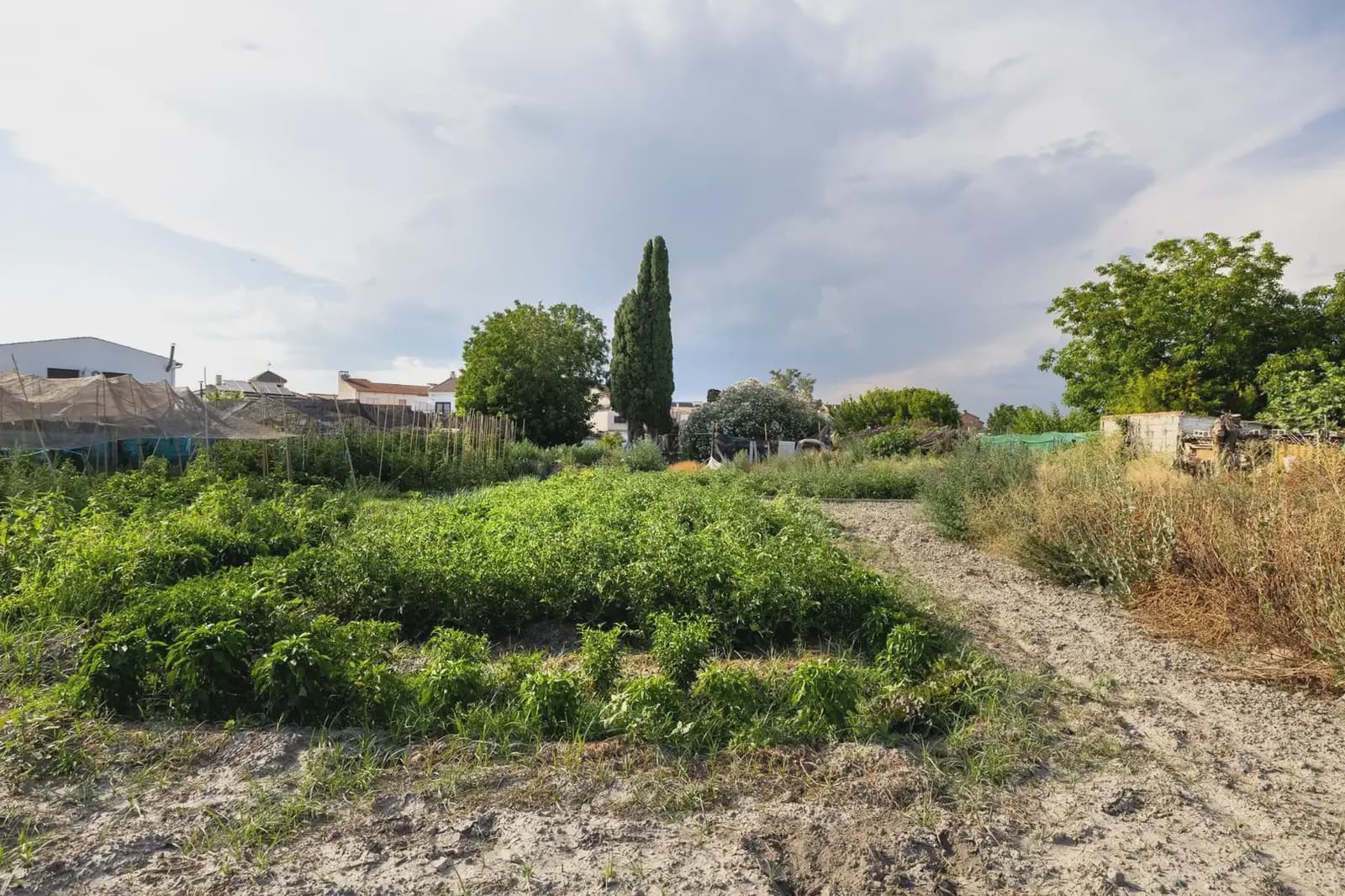 Finca/Landgut zu verkaufen in Chauchina mit Pool - 225.000 € (Ref: 9837590)