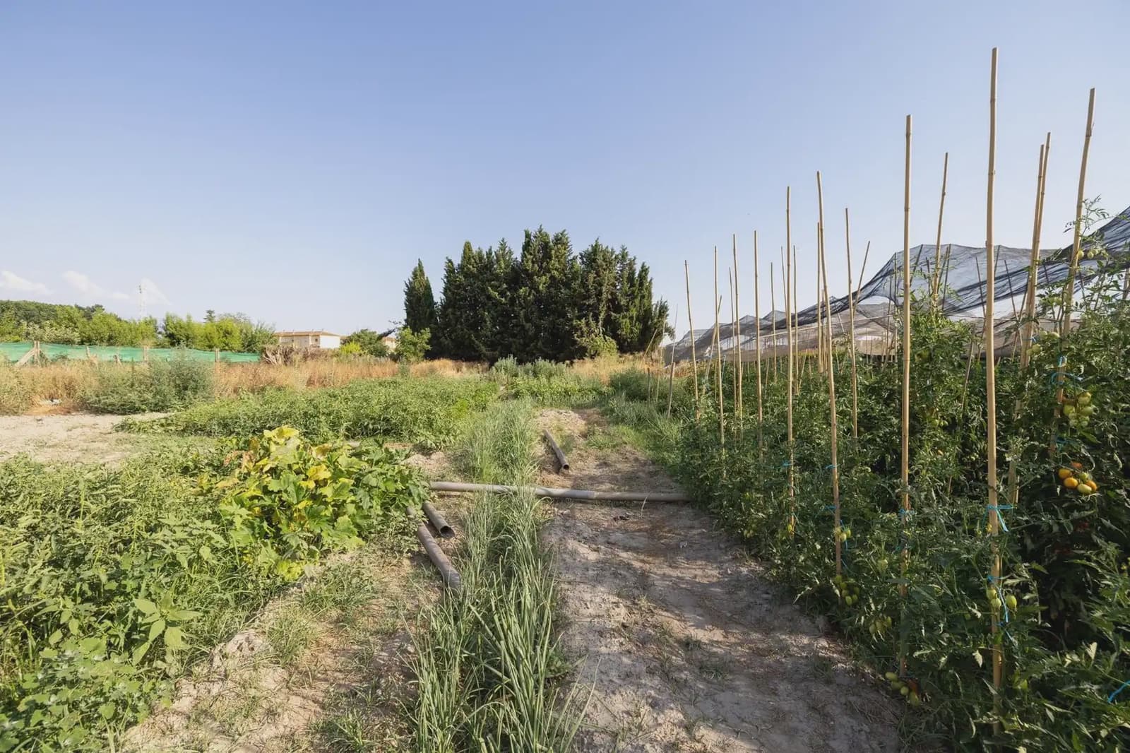 Finca/Landgut zu verkaufen in Chauchina mit Pool - 225.000 € (Ref: 9837590)
