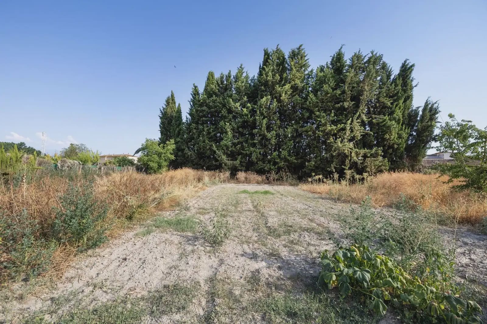 Finca/Landgut zu verkaufen in Chauchina mit Pool - 225.000 € (Ref: 9837590)