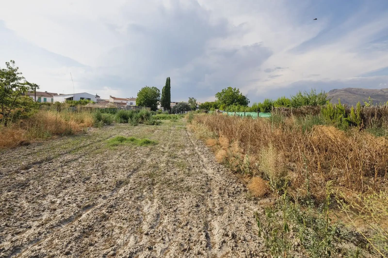 Finca/Landgut zu verkaufen in Chauchina mit Pool - 225.000 € (Ref: 9837590)