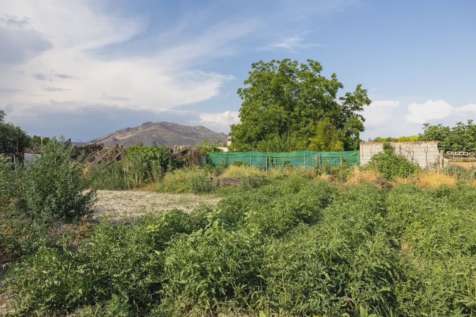 Finca/Landgut zu verkaufen in Chauchina mit Pool - 225.000 € (Ref: 9837590)