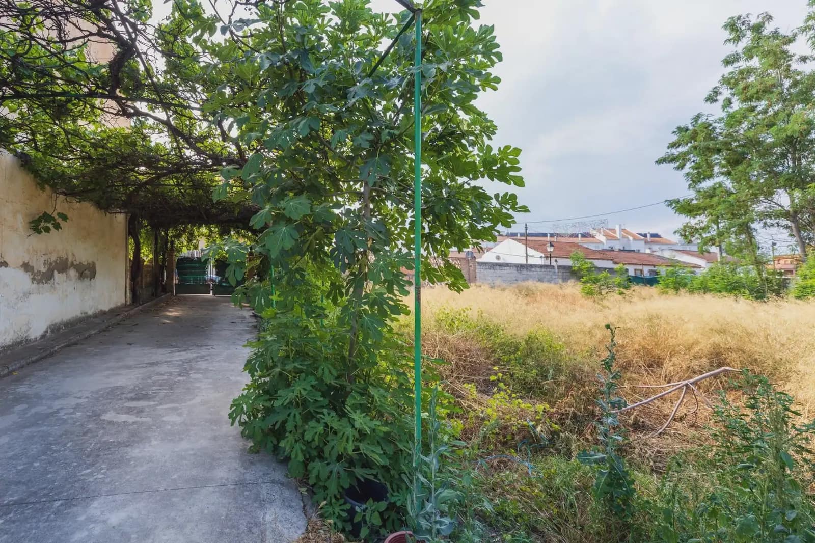 Finca/Landgut zu verkaufen in Chauchina mit Pool - 225.000 € (Ref: 9837590)
