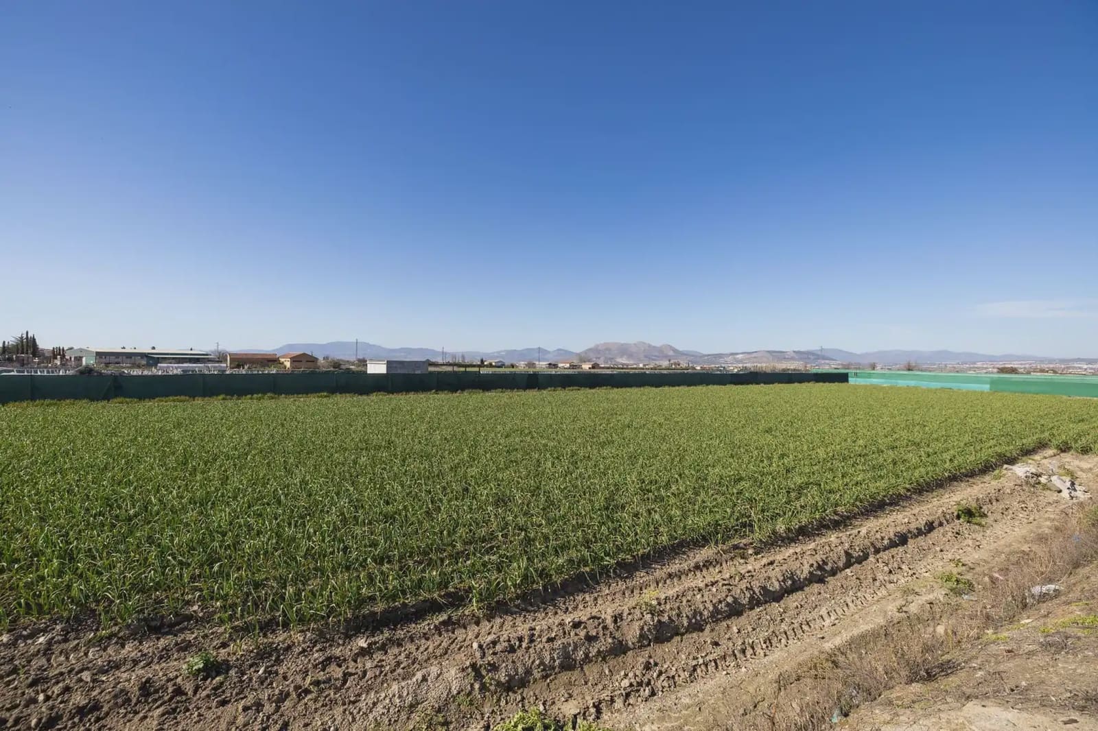 Terrain à Bâtir à vendre à Cullar Vega - 62 900 € (Ref: 9837600)