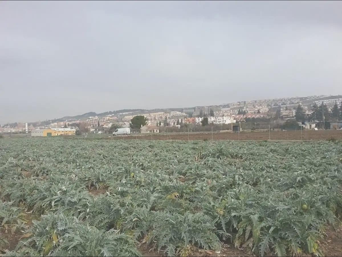 Grunde uden byggetilladelser til salg i Granada by - € 53.000 (Ref: 9837623)