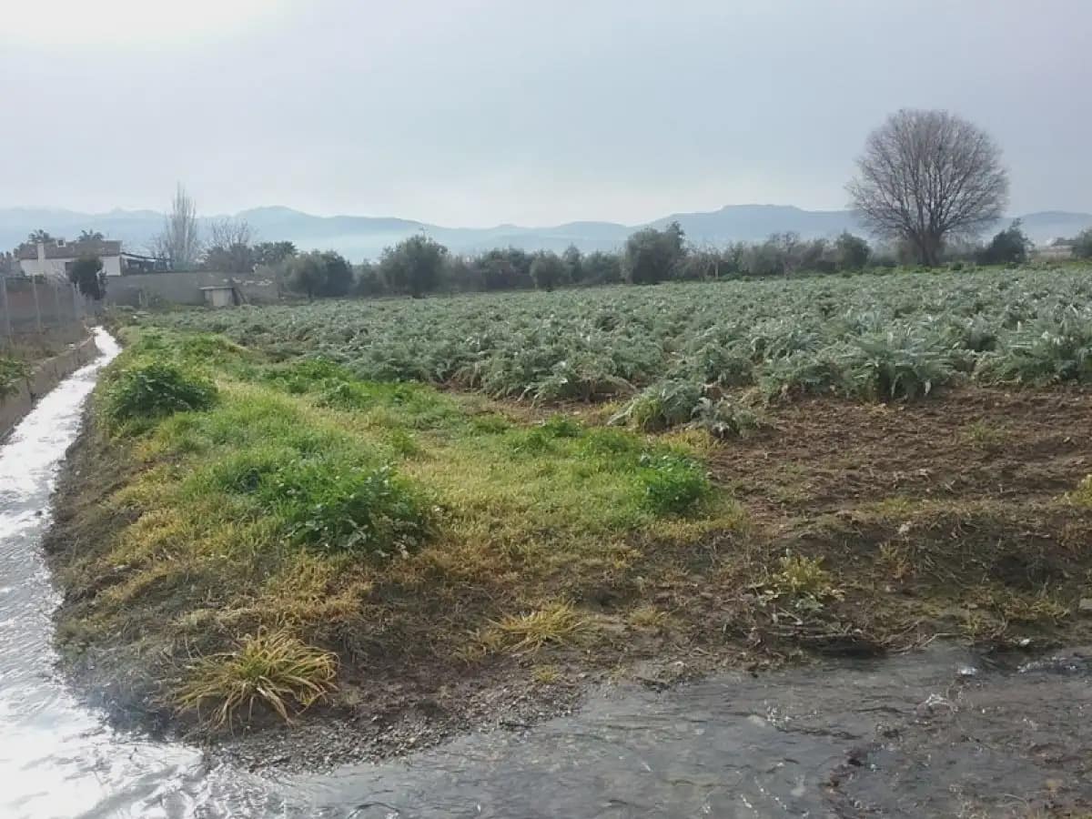 Grunde uden byggetilladelser til salg i Granada by - € 53.000 (Ref: 9837623)