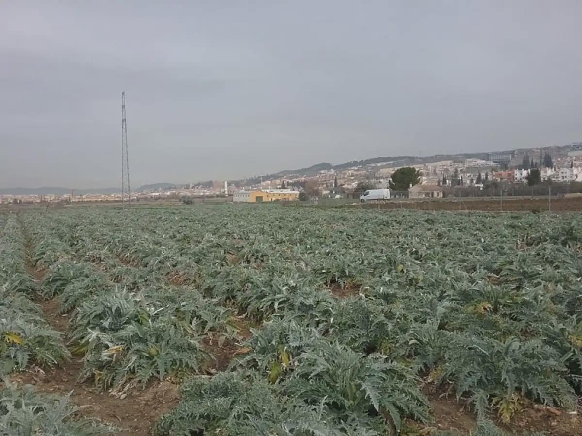 Grunde uden byggetilladelser til salg i Granada by - € 53.000 (Ref: 9837623)