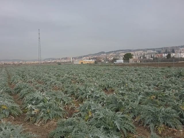 Grunde uden byggetilladelser til salg i Campus de la Salud, Granada by - € 53.000 (Ref: 9837623)