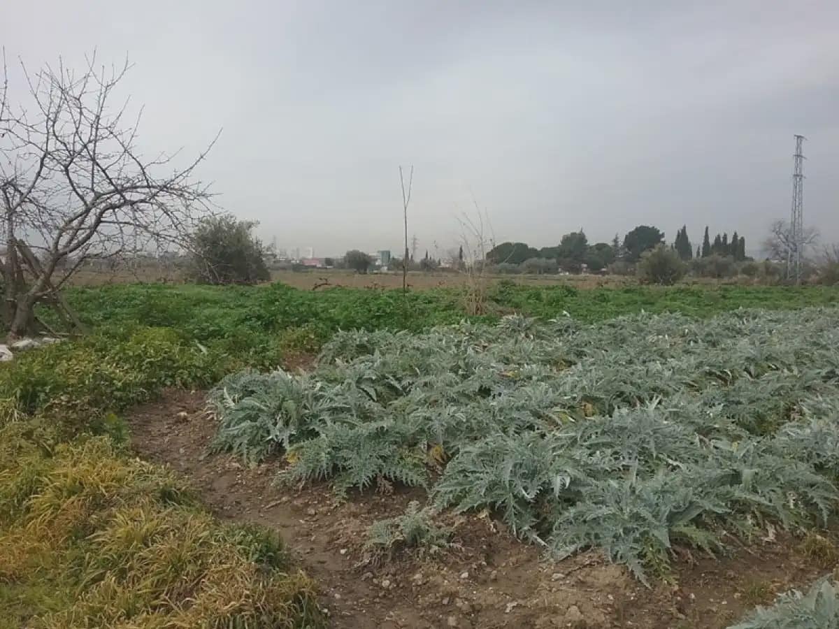 Grunde uden byggetilladelser til salg i Granada by - € 53.000 (Ref: 9837623)