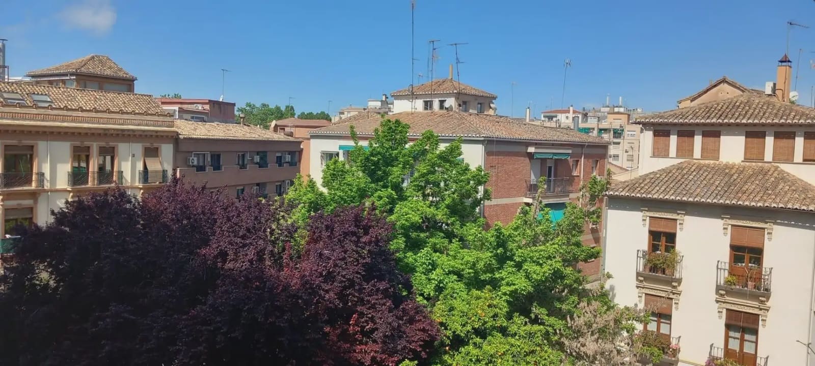 Flat for rent in Granada city - € 1,800 (Ref: 9837639)