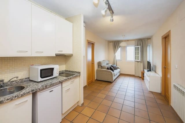 Flat te koop in Sierra Nevada, Monachil - € 175.000 (Ref: 9837647)