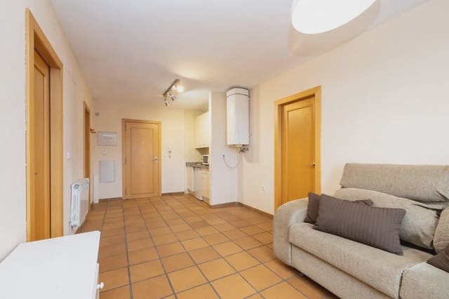 Flat te koop in Sierra Nevada, Monachil - € 175.000 (Ref: 9837647)