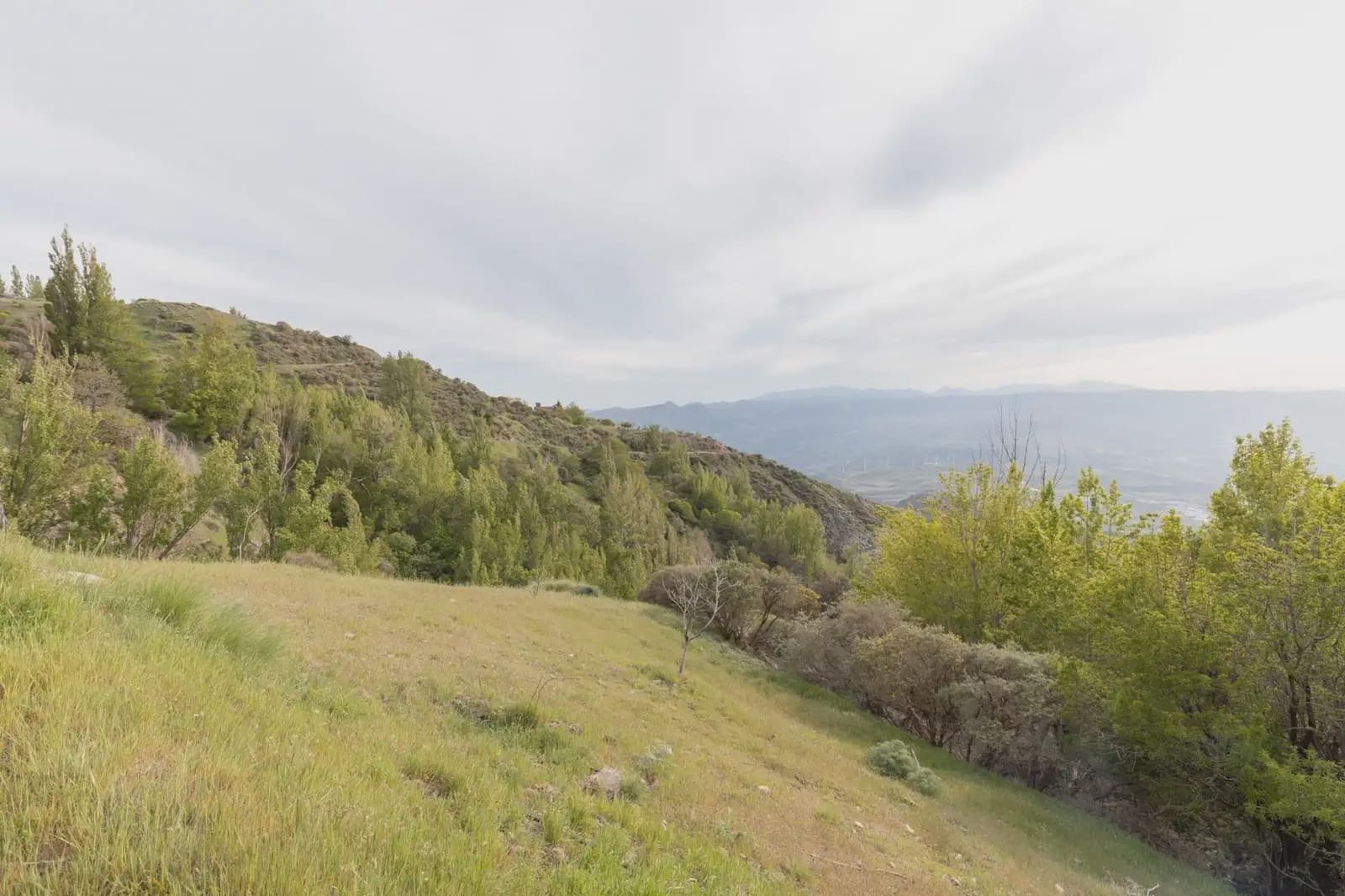 4 soverom Finca/Herregård til salgs i Niguelas - € 160 000 (Ref: 9850073)