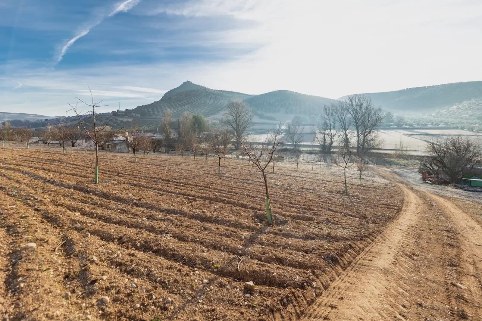 4 bedroom Finca/Country House for sale in Pinar with garage - € 299,000 (Ref: 9860374)