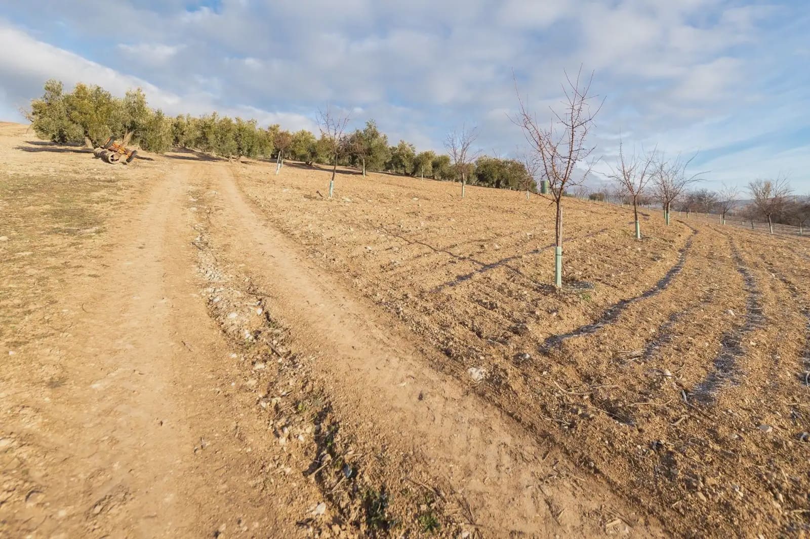 4 bedroom Finca/Country House for sale in Pinar with garage - € 299,000 (Ref: 9860374)