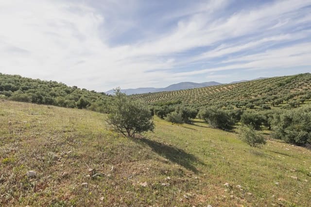 Ubebygd land til salgs i Güevéjar - € 20 000 (Ref: 9867241)