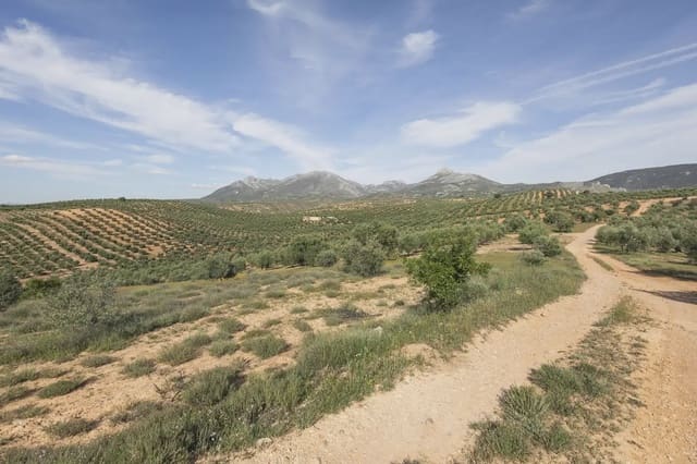 Ubebygd land til salgs i Güevéjar - € 20 000 (Ref: 9867241)