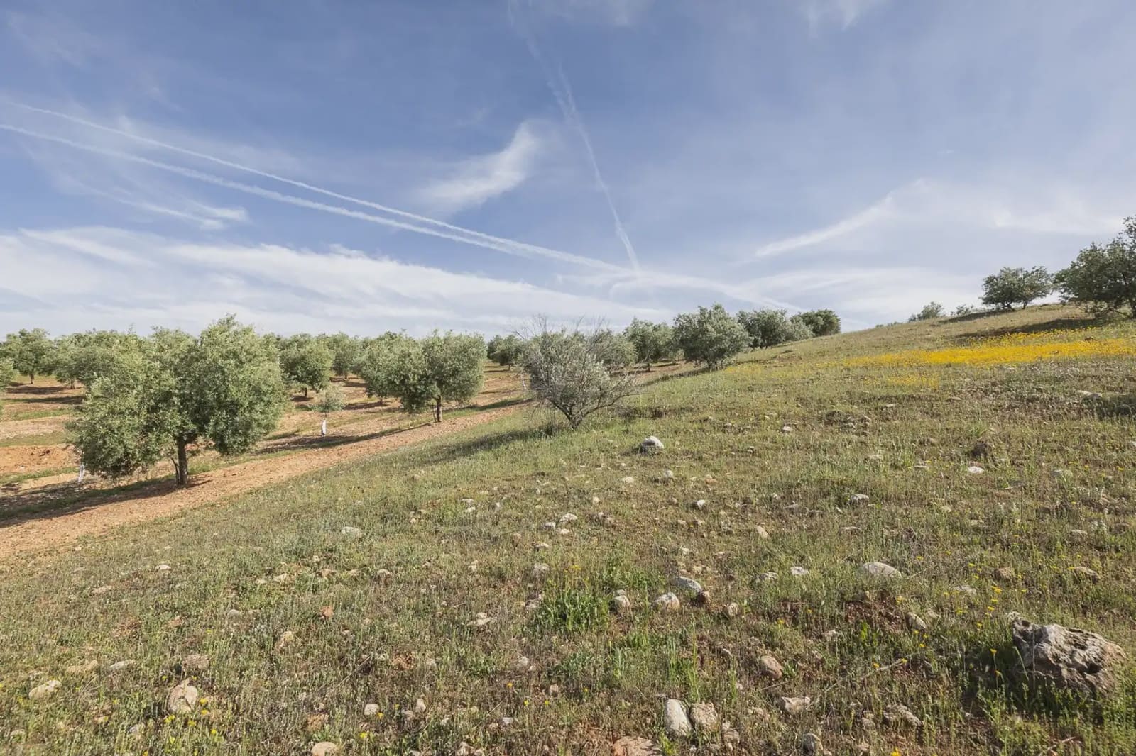 Undeveloped Land for sale in Guevejar - € 20,000 (Ref: 9867241)