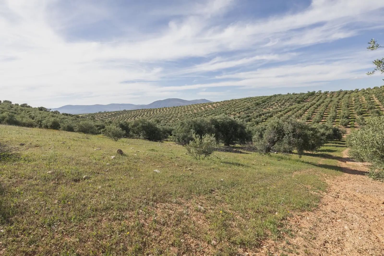 Undeveloped Land for sale in Guevejar - € 20,000 (Ref: 9867241)
