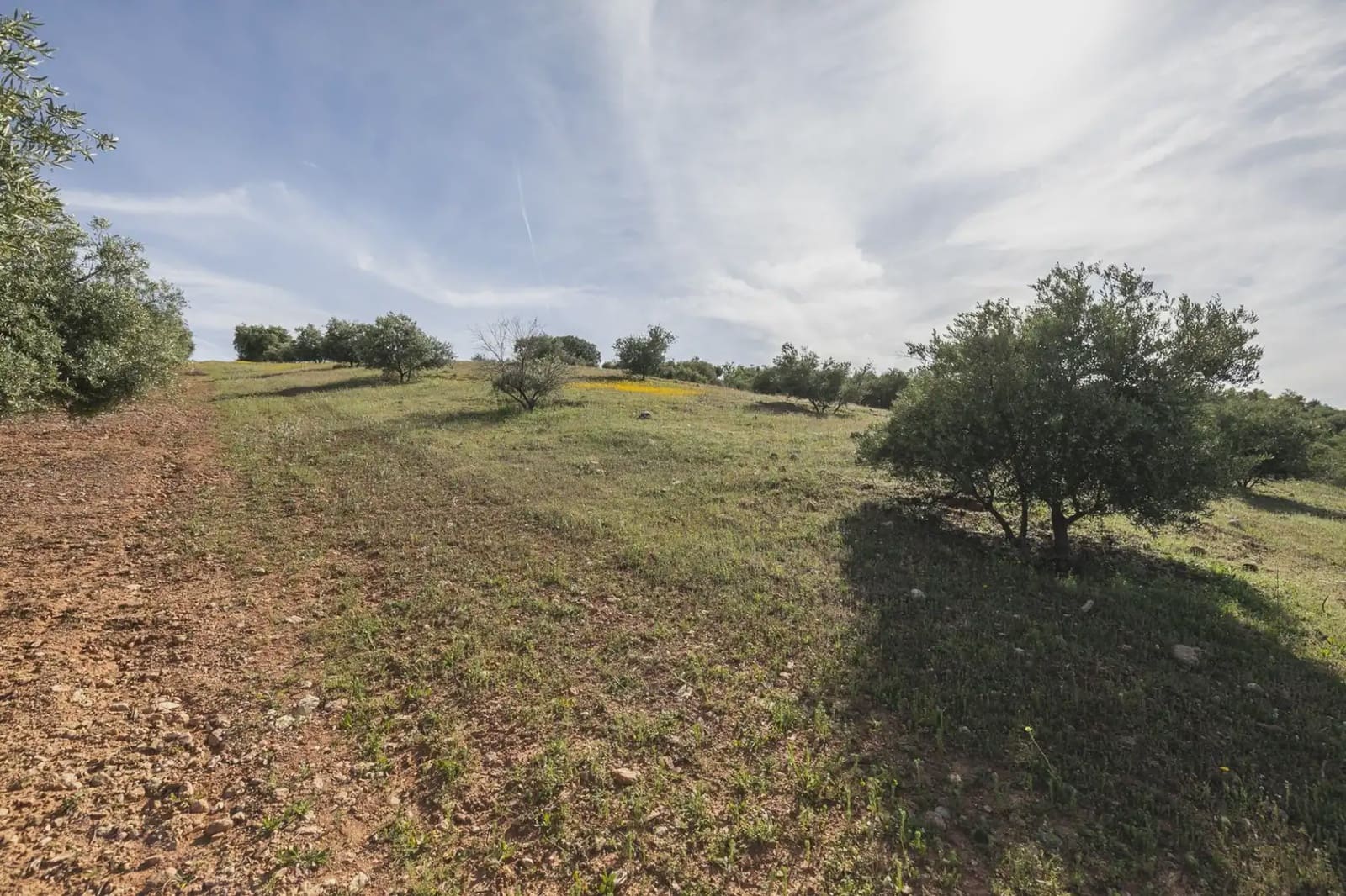 Undeveloped Land for sale in Guevejar - € 20,000 (Ref: 9867241)