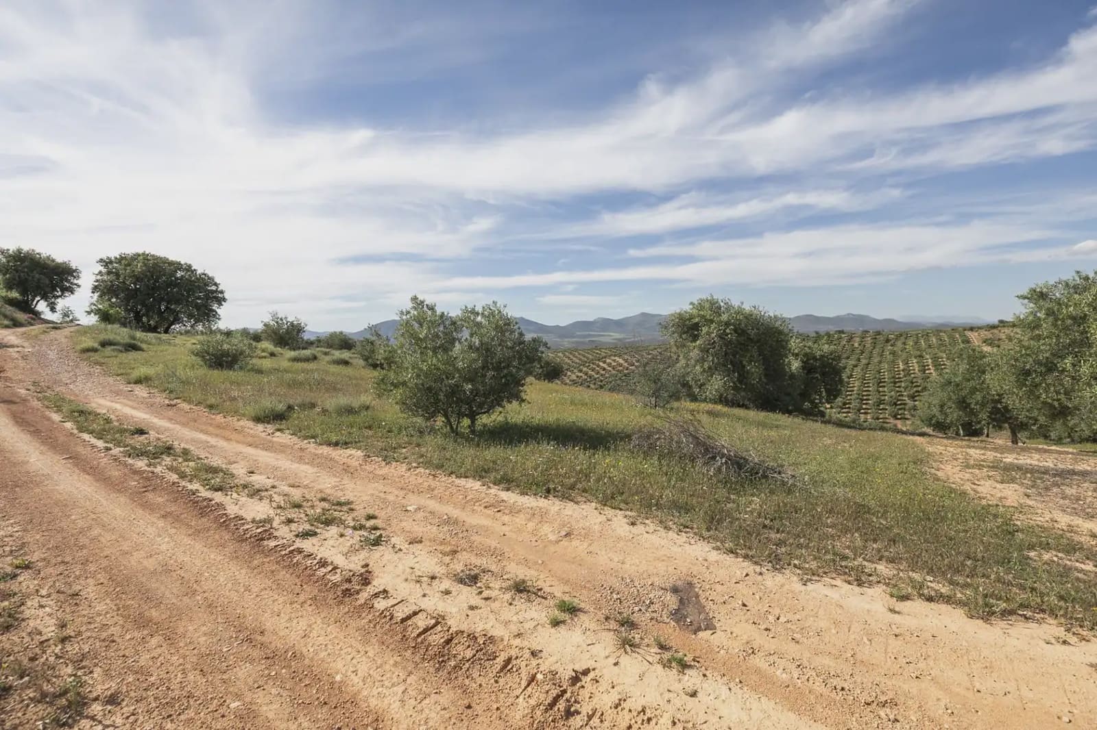 Undeveloped Land for sale in Guevejar - € 20,000 (Ref: 9867241)