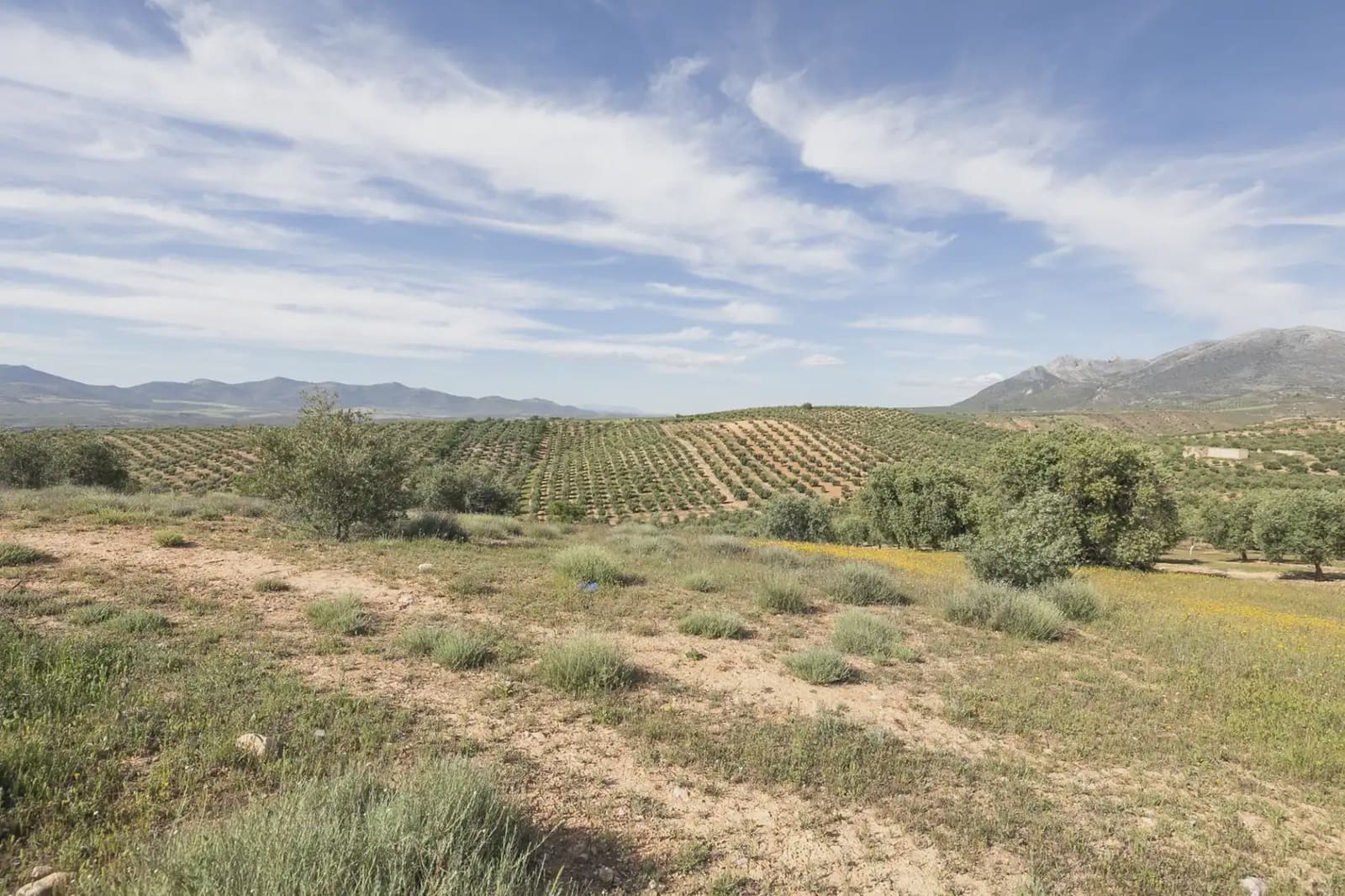 Undeveloped Land for sale in Guevejar - € 20,000 (Ref: 9867241)