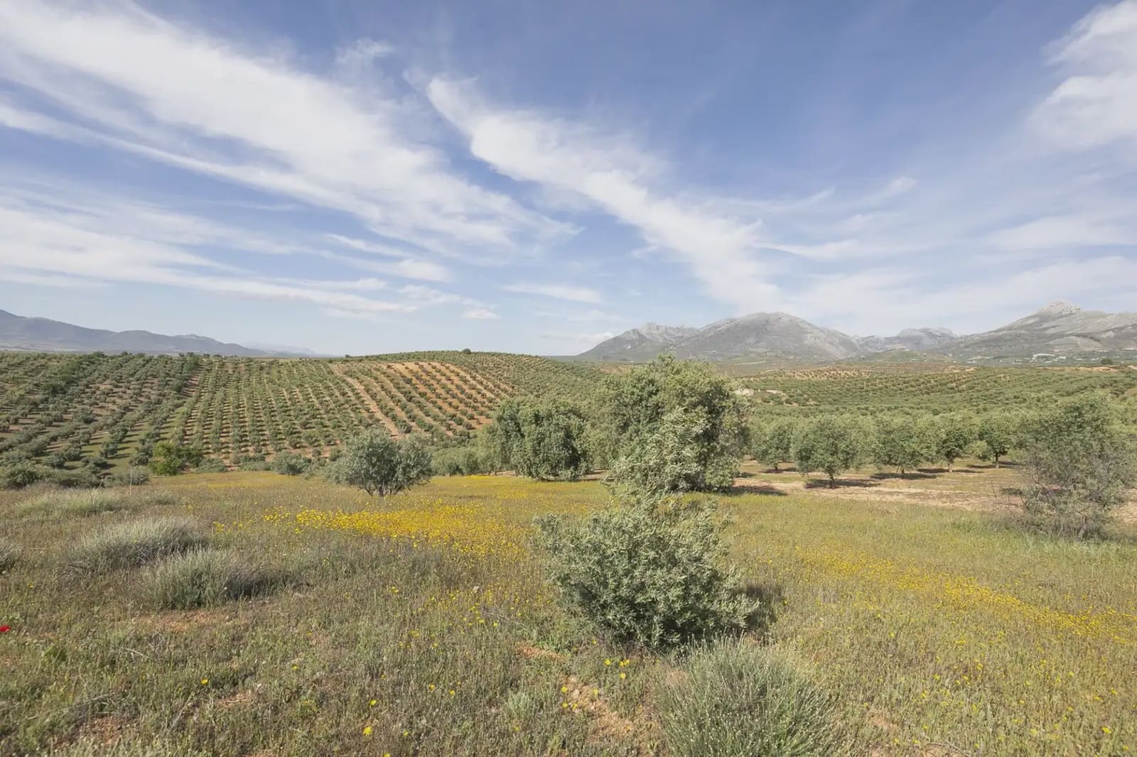 Undeveloped Land for sale in Guevejar - € 20,000 (Ref: 9867241)