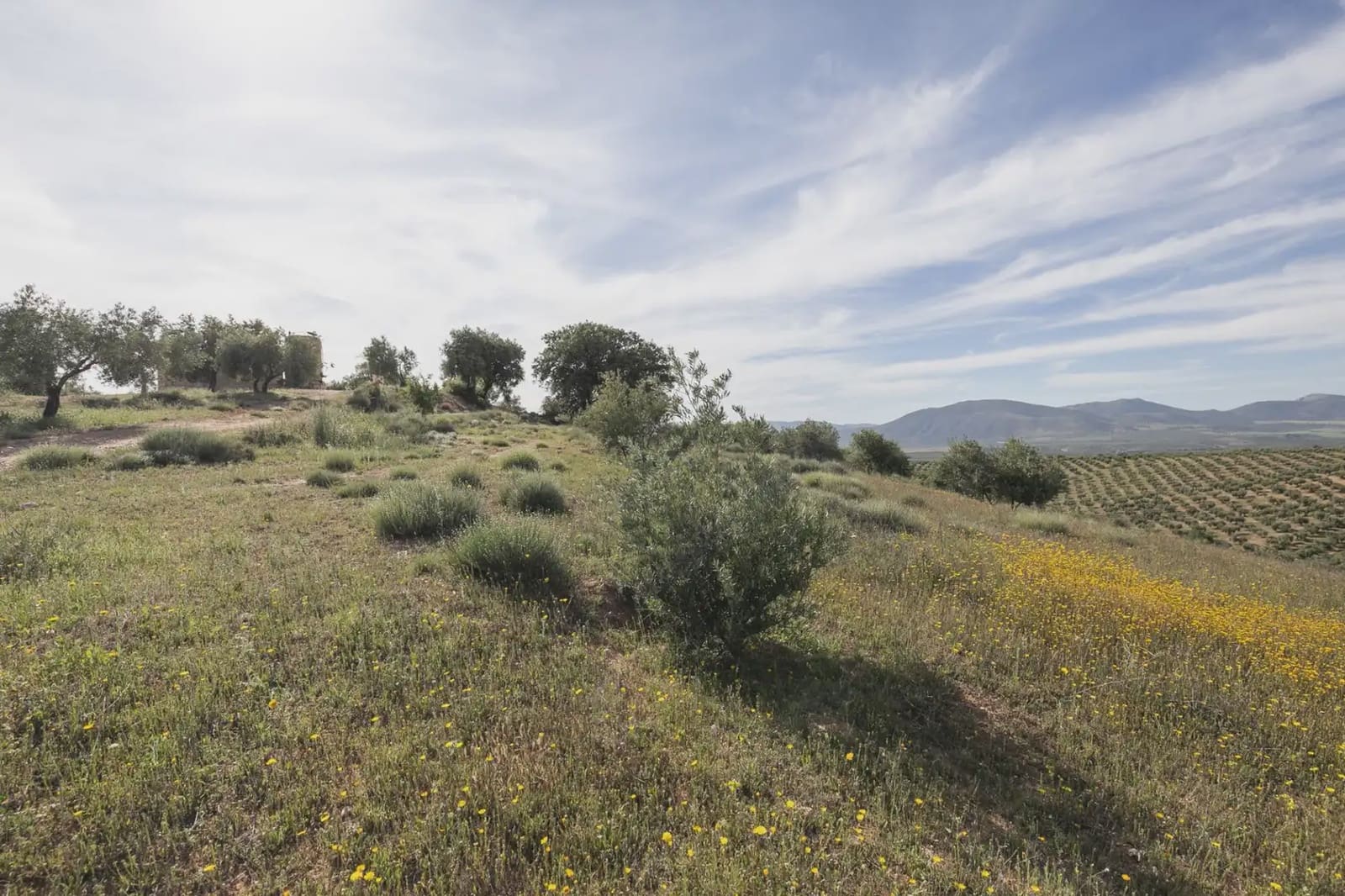 Undeveloped Land for sale in Guevejar - € 20,000 (Ref: 9867241)