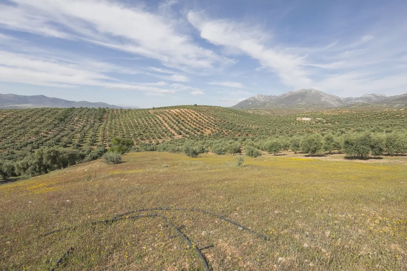 Undeveloped Land for sale in Guevejar - € 20,000 (Ref: 9867241)
