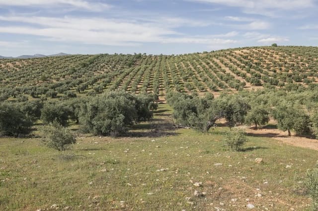 Ubebygd land til salgs i Güevéjar - € 20 000 (Ref: 9867241)