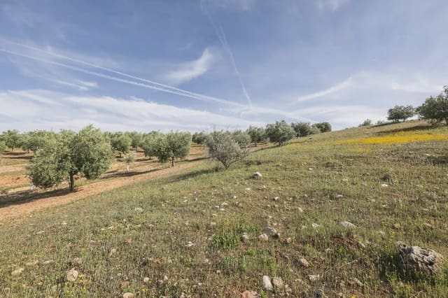 Ubebygd land til salgs i Güevéjar - € 20 000 (Ref: 9867241)
