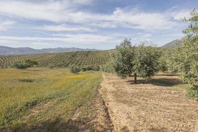 Ubebygd land til salgs i Güevéjar - € 20 000 (Ref: 9867241)