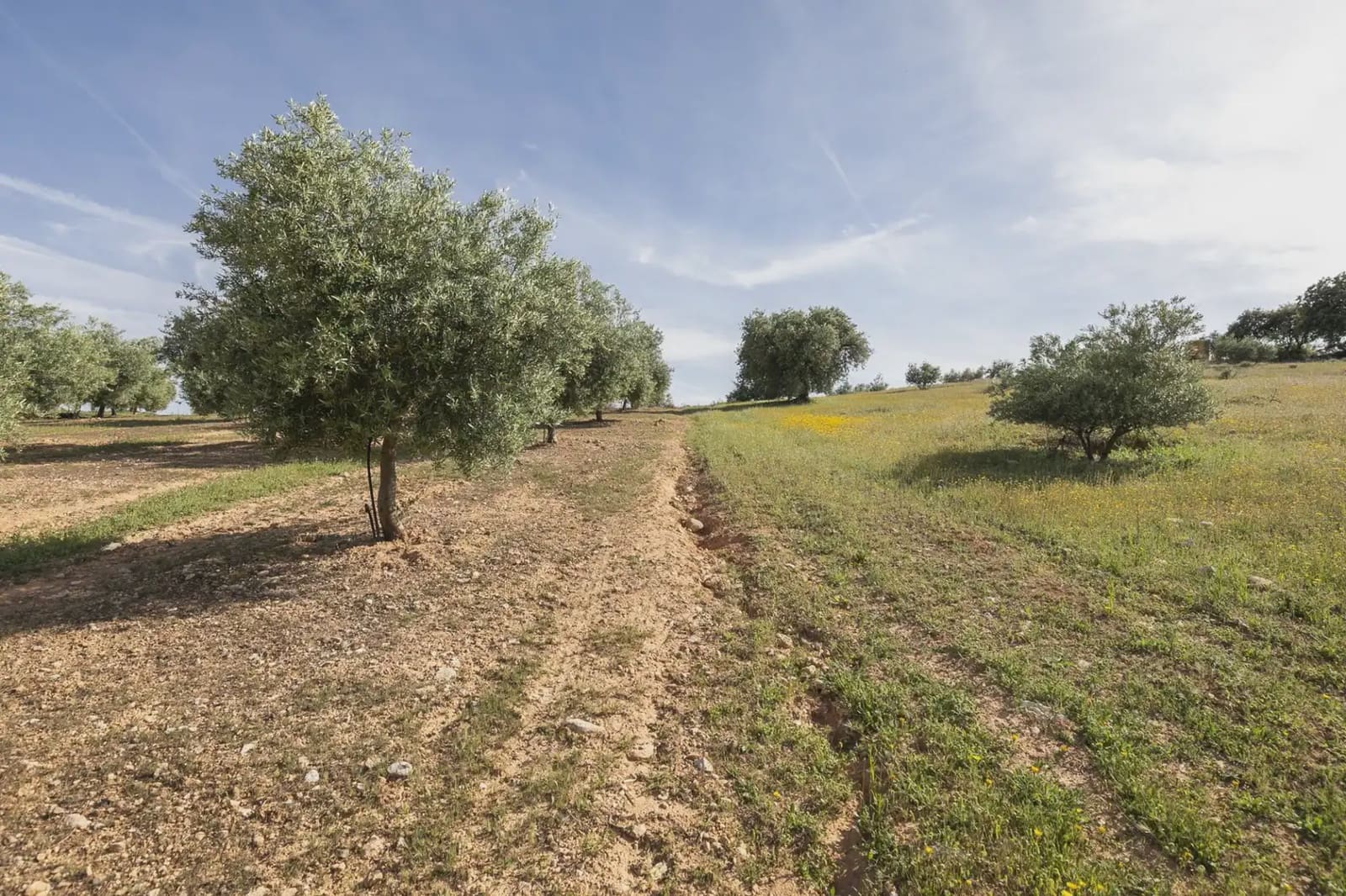 Undeveloped Land for sale in Guevejar - € 20,000 (Ref: 9867241)